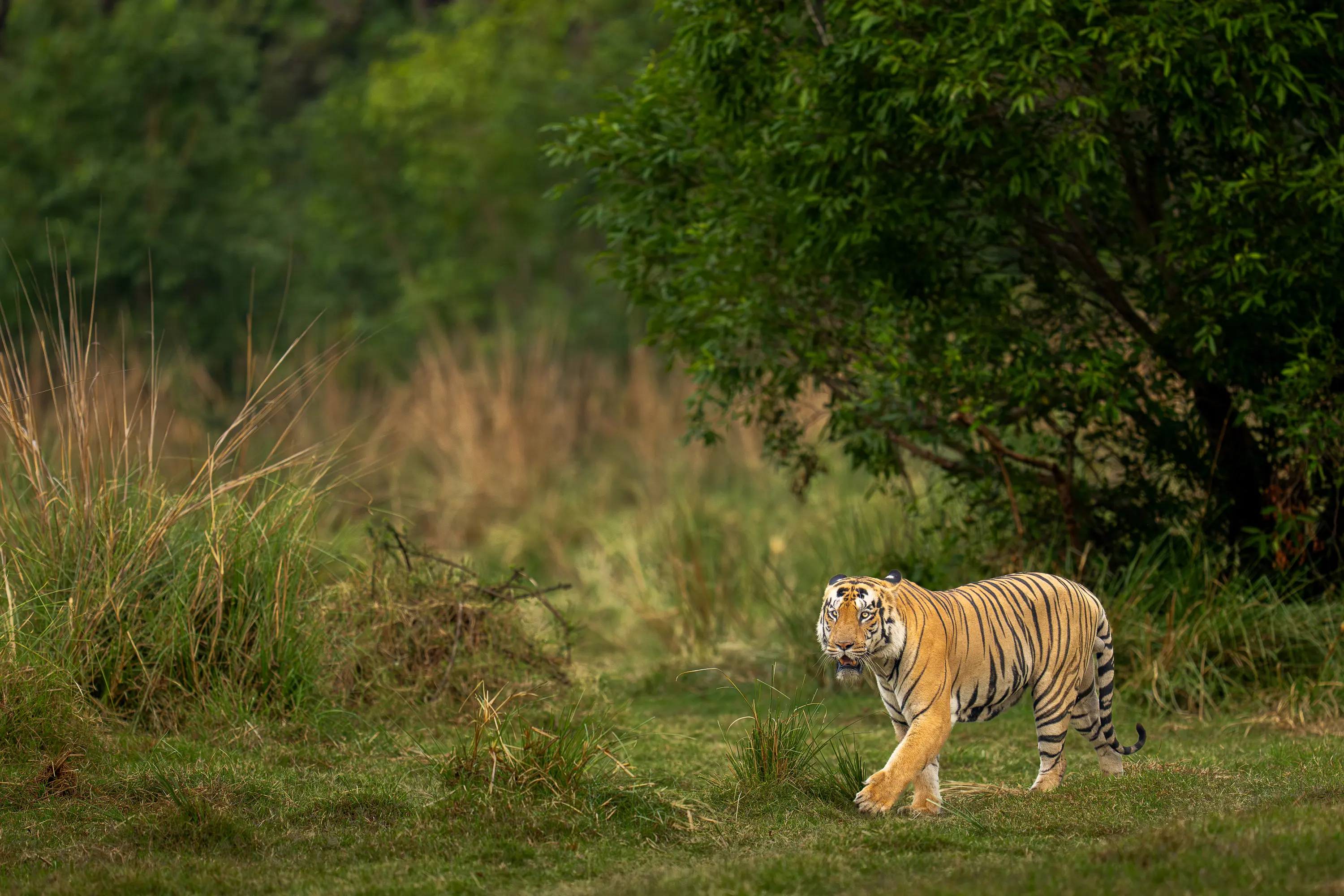 Instagram Post Placeholder